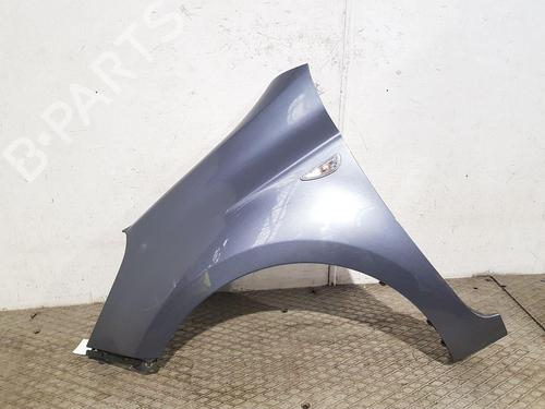 Used Left front fenders HYUNDAI i20 I (PB, PBT) 1.2 (78 hp) 31603775