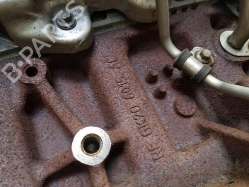 Engine FORD TRANSIT CUSTOM V362 Van (FY, FZ)  | BP32070017M1 