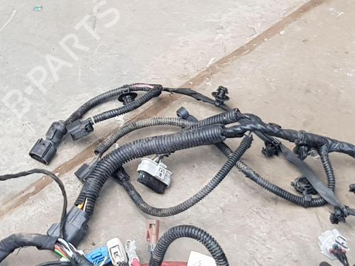 Wiring harness TESLA MODEL 3 (5YJ3) | BP36052120E16 - Image 12