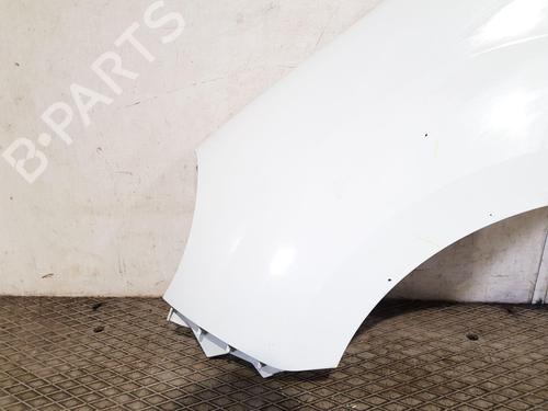 Left front fenders RENAULT KANGOO Express (FW0/1_) 1.5 dCi 75 (FW07, FW10, FW04) | BP22206883C41 