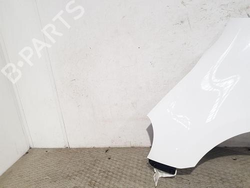 Left front fenders NISSAN MICRA IV (K13K, K13KK) 1.2 | BP29549436C41 