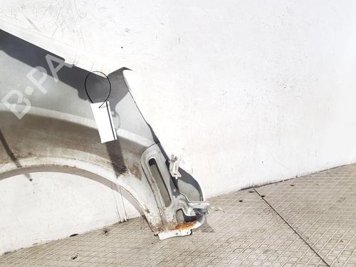 Left front fenders CITROËN NEMO Box Body/MPV (AA_) 1.3 HDi 75 | BP29549415C41 