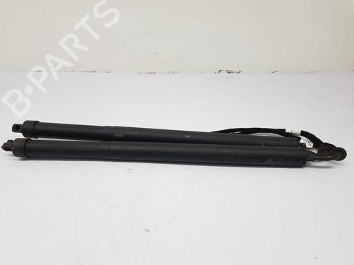 Tailgate lift support LAND ROVER DISCOVERY SPORT (L550) 2.2 D 4x4 | BP30161470C138 