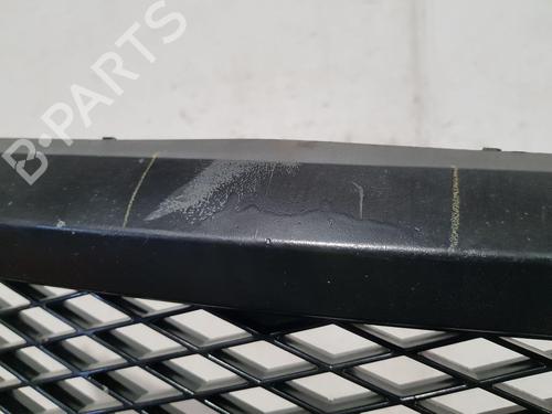 Grille FORD FIESTA V (JH_, JD_) ST150 | BP24173101C40 
