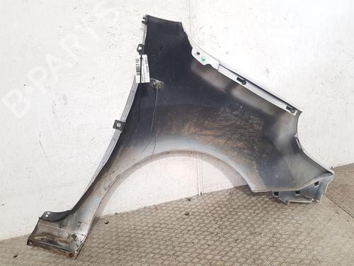 Left front fenders RENAULT KANGOO Express (FW0/1_) 1.5 dCi 75 (FW07, FW10, FW04) | BP27166782C41