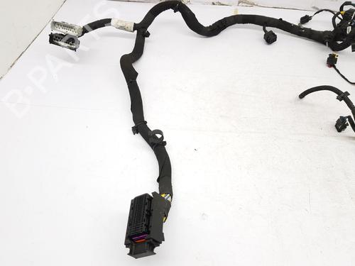 Wiring harness MCLAREN 720S 4.0 | BP23434992E16