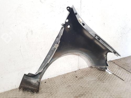 Left front fenders RENAULT CLIO III (BR0/1, CR0/1) 1.2 16V (BR02, BR0J, BR11, CR02, CR0J, CR11) | BP27166786C41