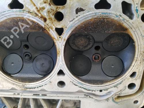 Cylinder head AUDI A4 B9 (8W2, 8WC) S4 TFSi quattro | BP32632195M5