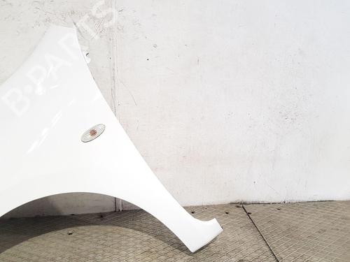 Left front fenders NISSAN MICRA IV (K13K, K13KK) 1.2 | BP29549436C41 