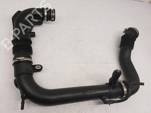 Pipe FORD FIESTA VI (CB1, CCN) 1.0 Sport | BP22666413M125 