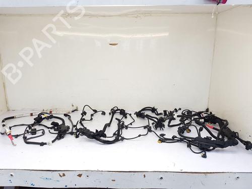 Ledningsnet BMW 2 Coupe (G42, G87) M2 (460 hp) 27240598