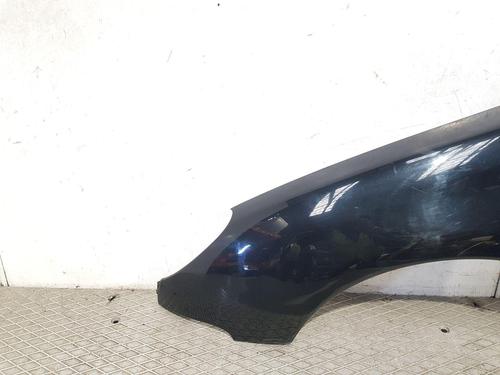 Left front fenders PEUGEOT 206 Hatchback (2A/C) 1.4 HDi eco 70 | BP27166833C41 