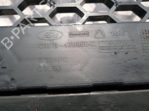 Grille FORD FIESTA VI (CB1, CCN) 1.6 ST | BP28029526C40 