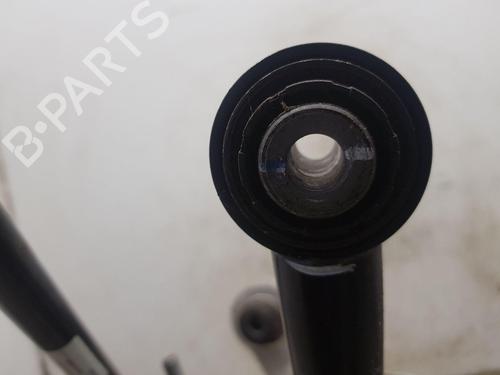 Other TESLA MODEL Y (5YJY)  | BP34168957O1  - Image 12