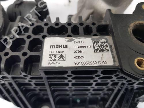 Egr FORD TRANSIT CONNECT V408 Box Body/MPV | BP29492818M69