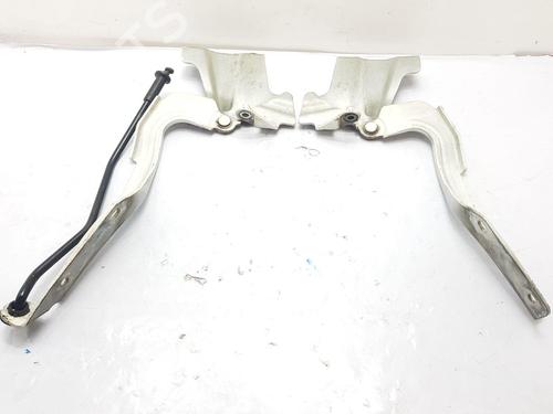 Hinge/Door check strap NISSAN NOTE (E12) 1.5 dCi | BP27186597C146