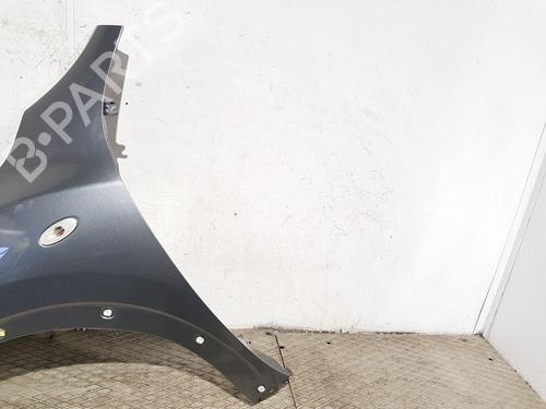 Left front fenders NISSAN JUKE (F15) 1.5 dCi | BP31365748C41