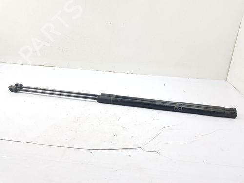 Tailgate lift support FORD C-MAX II (DXA/CB7, DXA/CEU) | BP30364799C138