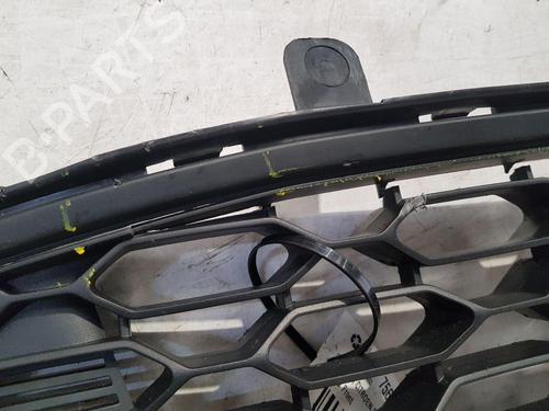 Grill CITROËN C3 II (SC_) 1.4 HDi 70 (SC8HZC, SC8HR0, SC8HP4) | BP29756044C40 