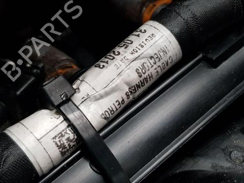 Engine FIAT PUNTO (199_) 1.4 (199AXB1A, 199BXB1A, 199BXB11, 199AXB11) | BP30138017M1