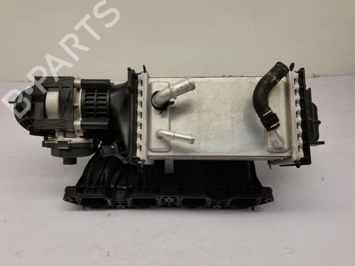 Intake manifold VW GOLF VIII (CD1, DA1) 2.0 TDI | BP29815775M70