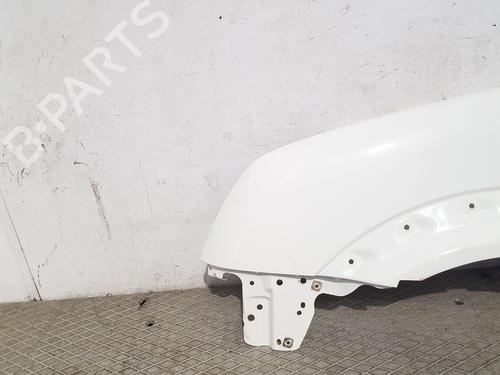 Left front fenders FORD TRANSIT CONNECT (P65_, P70_, P80_) 1.8 TDCi | BP29440338C41 