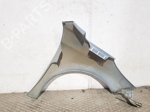 Left front fenders PEUGEOT 207 (WA_, WC_) 1.4 | BP30840053C41