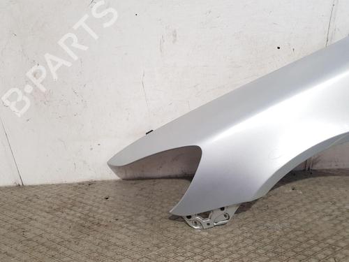 Left front fenders SKODA OCTAVIA II (1Z3) 2.0 TDI 16V | BP27186552C41 
