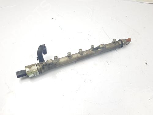 Used Injection rail Injection rail VW GOLF VI Convertible (517) 1.6 TDI (105 hp) 39024375 39024375