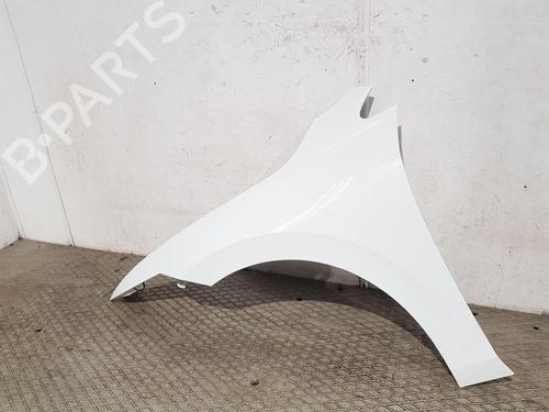 Forskærm venstre VW GOLF VIII (CD1, DA1) 2.0 TDI | BP31346357C41 