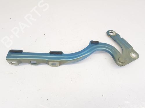 Hinge/Door check strap OPEL CROSSLAND X / CROSSLAND (P17, P2QO)  | BP26875493C146 