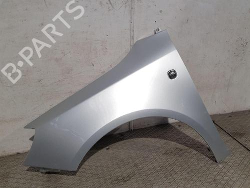 Left front fenders SKODA ROOMSTER (5J7) 1.2 TSI | BP29408169C41 