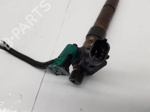 Injector LAND ROVER FREELANDER 2 (L359) 2.2 TD4 4x4 | BP32252046M100