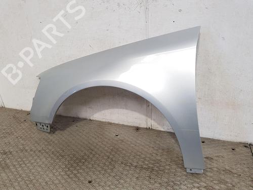 Left front fenders VW PASSAT B6 (3C2) 1.9 TDI | BP26569773C41 