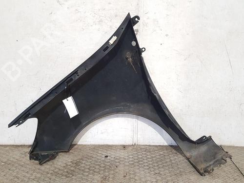 Right front fenders RENAULT CLIO III (BR0/1, CR0/1) 1.4 16V | BP22206629C42 