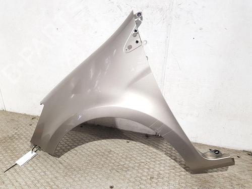 Left front fenders RENAULT CLIO III (BR0/1, CR0/1) 1.5 dCi (BR17, CR17) | BP30309687C41 