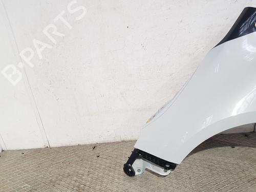 Left front fenders TOYOTA COROLLA Hatchback (_E21_, _EA1_, _EH1_) 1.8 Hybrid (ZWE211, ZWE219) | BP29549396C41 