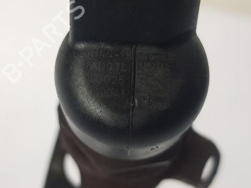 Injector LAND ROVER RANGE ROVER SPORT I (L320) 3.6 D 4x4 | BP28612761M100 