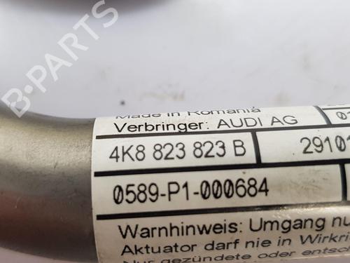 Elektronisk modul AUDI A6 C8 Avant (4A5) RS6 Mild Hybrid quattro | BP22679316M83 