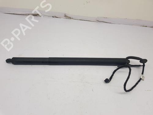 Tailgate lift support AUDI Q3 (8UB, 8UG)  | BP23053883C138 