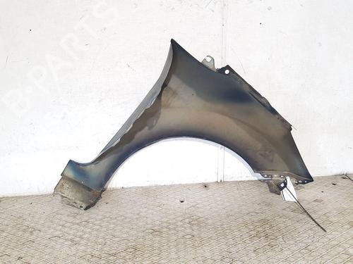 Left front fenders FORD FIESTA VI (CB1, CCN)  | BP25838652C41 