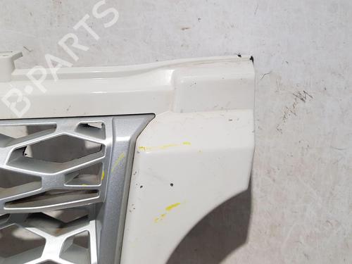 Grille LAND ROVER RANGE ROVER III (L322) 3.6 D 4x4 | BP30184955C40