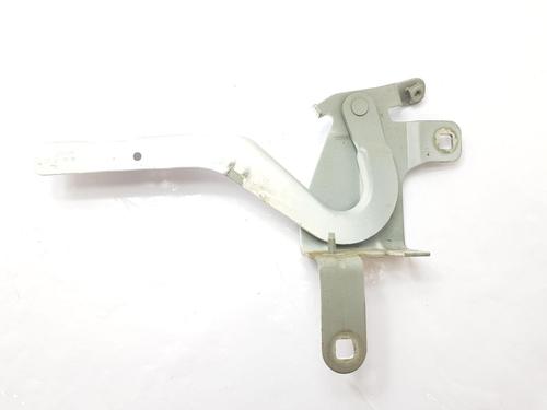 Hinge/Door check strap RENAULT CLIO IV (BH_) 1.2 16V | BP27455369C146 