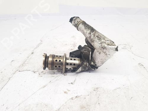 Used Injector Injector CITROËN C3 Picasso (SH_) 1.6 BlueHDi 100 (99 hp) 33889913 33889913