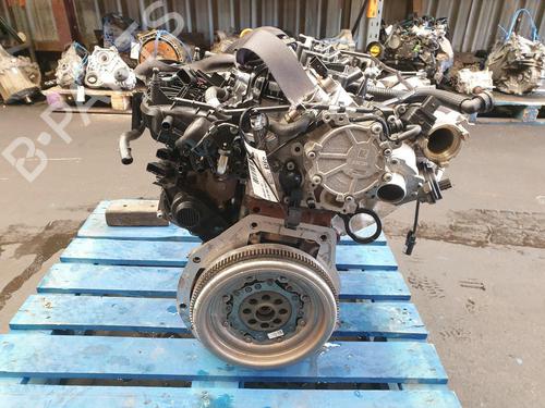 Engine VW POLO VI (AW1, BZ1, AE1)  | BP27240679M1  - Image 5