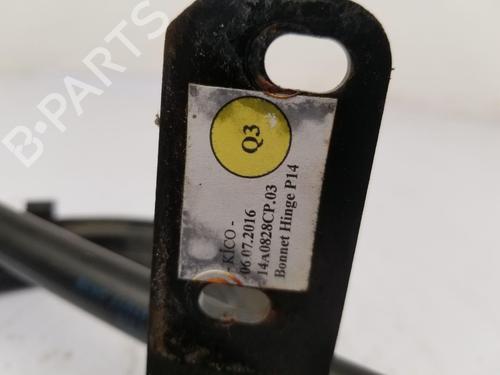 Hinge/Door check strap MCLAREN 720S 4.0 | BP37240688C146 - Image 8