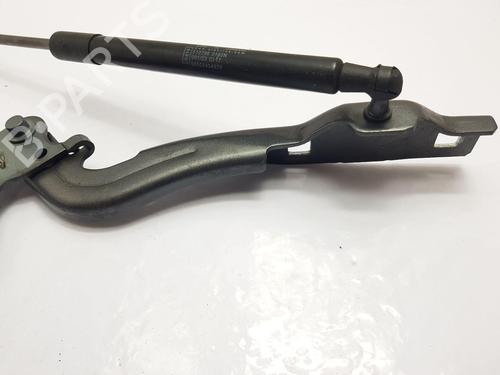 Hinge/Door check strap ALFA ROMEO GIULIA (952_)  | BP23966196C146 