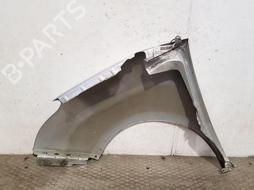 Right front fenders VAUXHALL COMBO Mk III (D) Box Body/MPV (X12) 1.3 CDTi | BP31691160C42 