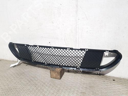 Grille BMW 5 Touring (E61) 525 d | BP29756012C40 