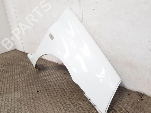 Kotflügel rechts vorne RENAULT CLIO II (BB_, CB_) 1.2 (BB0A, BB0F, BB10, BB1K, BB28, BB2D, BB2H, CB0A,... | BP30045208C42 